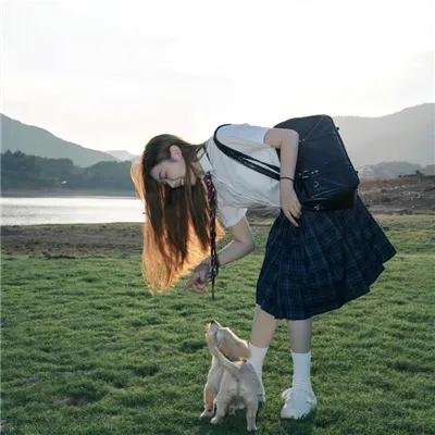 与狼共谋海报