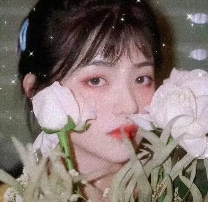 八角笼中海报